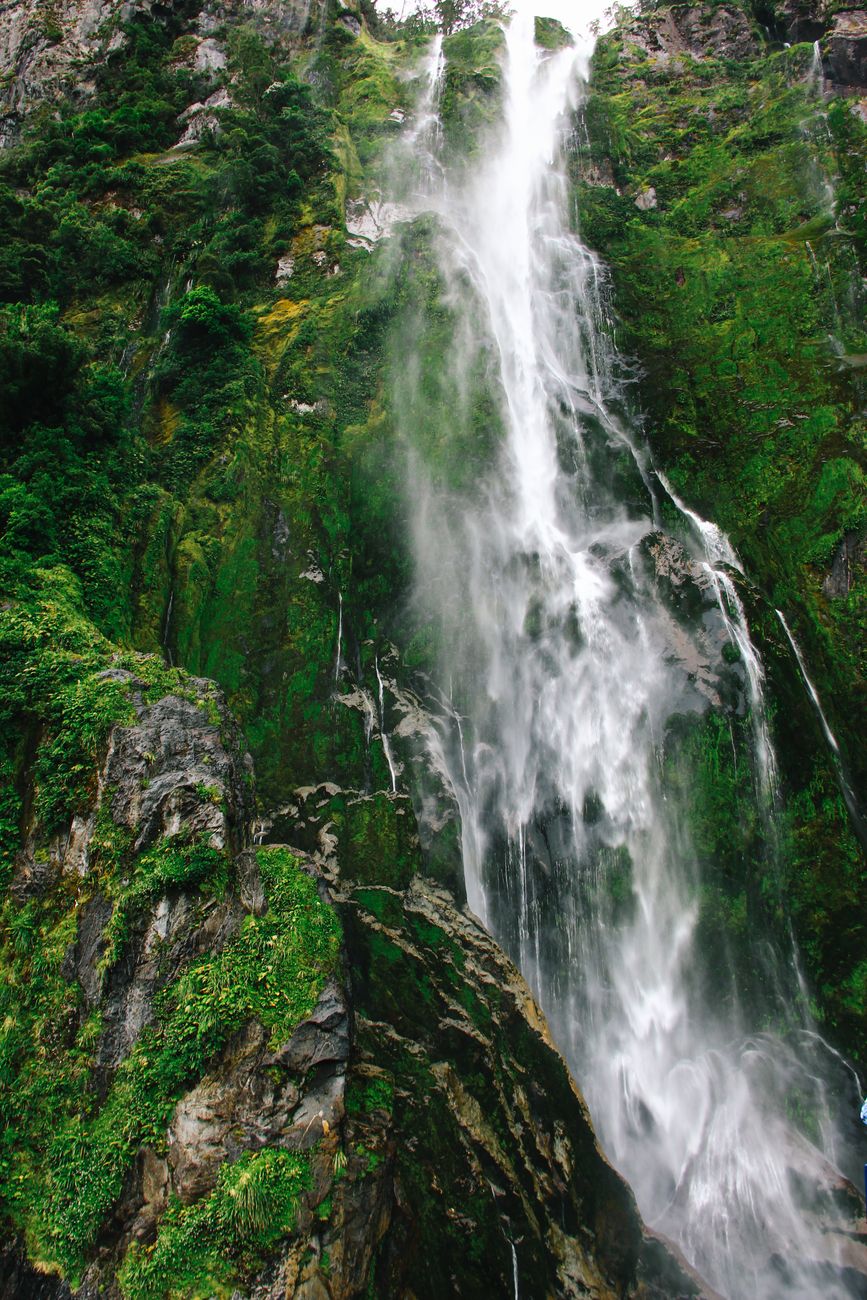 Fiordland hiking trail and waterfall